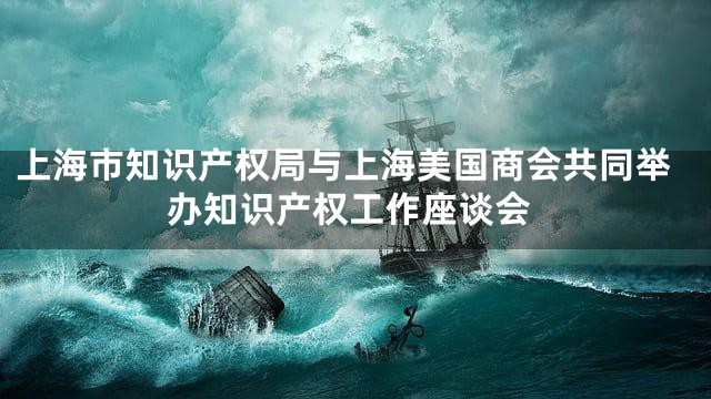 上海市知识产权局与上海美国商会共同举办知识产权工作座谈会