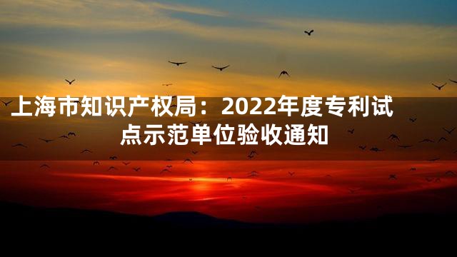 上海市知识产权局：2022年度专利试点示范单位验收通知