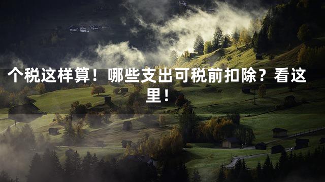 个税这样算！哪些支出可税前扣除？看这里！