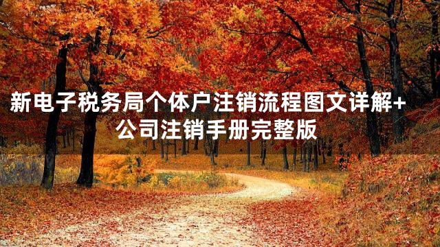 新电子税务局个体户注销流程图文详解+公司注销手册完整版