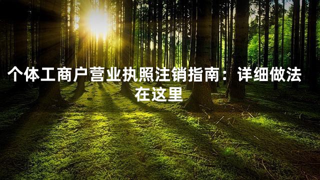 个体工商户营业执照注销指南：详细做法在这里