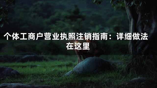 个体工商户营业执照注销指南：详细做法在这里