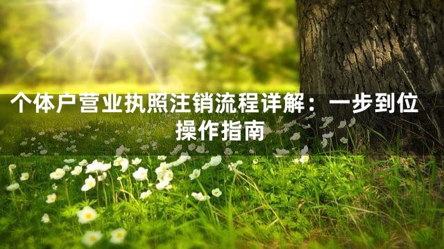 个体户营业执照注销流程详解：一步到位操作指南
