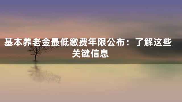 基本养老金最低缴费年限公布：了解这些关键信息
