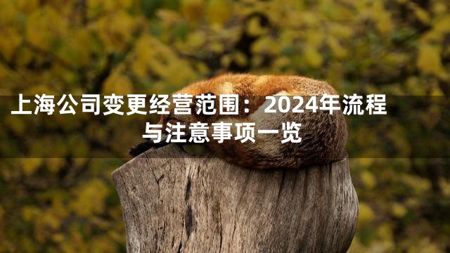 上海公司变更经营范围：2024年流程与注意事项一览
