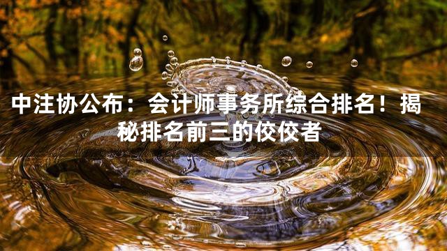 中注协公布：会计师事务所综合排名！揭秘排名前三的佼佼者