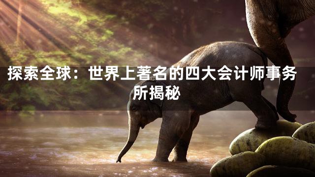 探索全球：世界上著名的四大会计师事务所揭秘