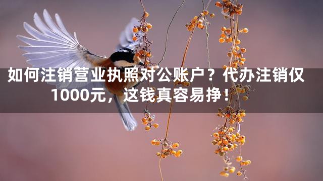 如何注销营业执照对公账户？代办注销仅1000元，这钱真容易挣！