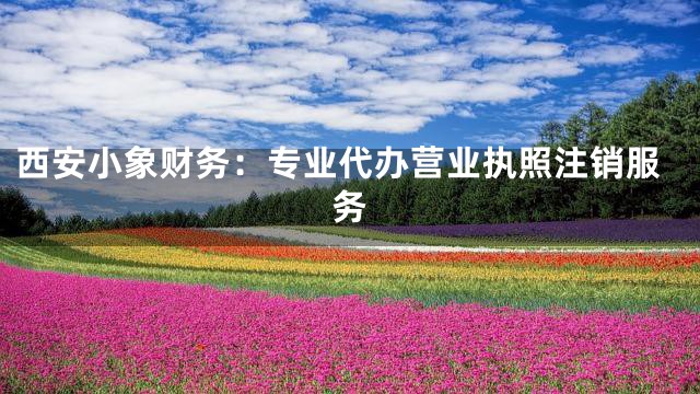 西安小象财务：专业代办营业执照注销服务