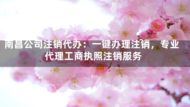 南昌公司注销代办：一键办理注销，专业代理工商执照注销服务