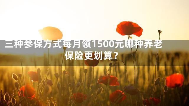 三种参保方式每月领1500元哪种养老保险更划算？
