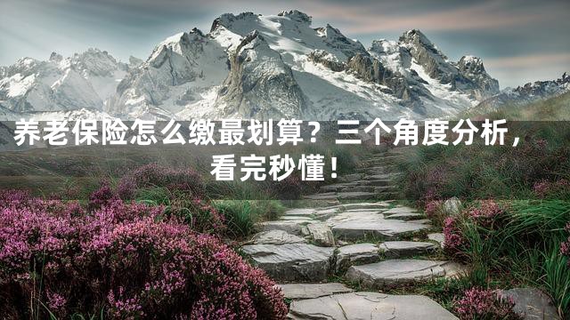 养老保险怎么缴最划算？三个角度分析，看完秒懂！