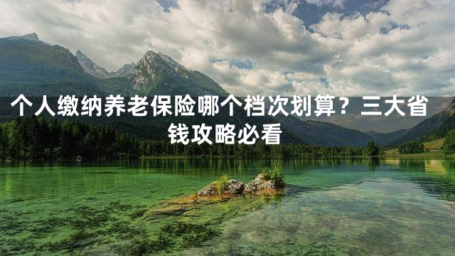 个人缴纳养老保险哪个档次划算？三大省钱攻略必看