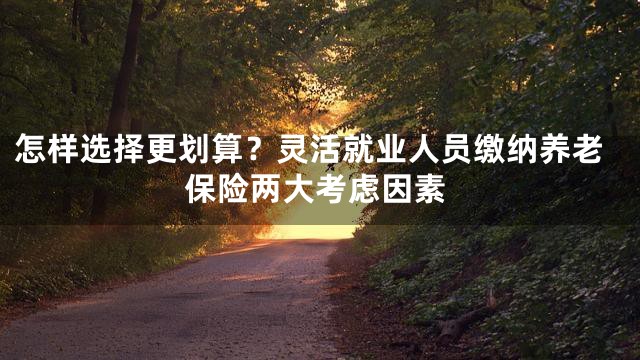 怎样选择更划算？灵活就业人员缴纳养老保险两大考虑因素