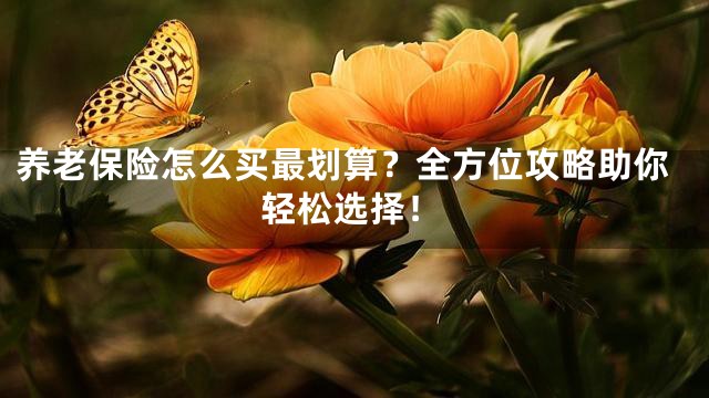 养老保险怎么买最划算？全方位攻略助你轻松选择！