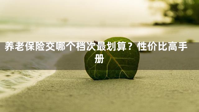 养老保险交哪个档次最划算？性价比高手册