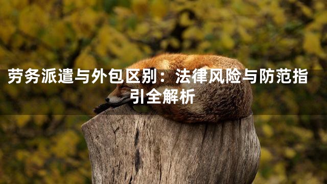 劳务派遣与外包区别：法律风险与防范指引全解析