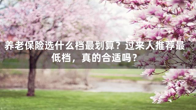 养老保险选什么档最划算？过来人推荐最低档，真的合适吗？