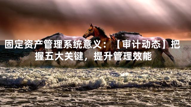固定资产管理系统意义：【审计动态】把握五大关键，提升管理效能