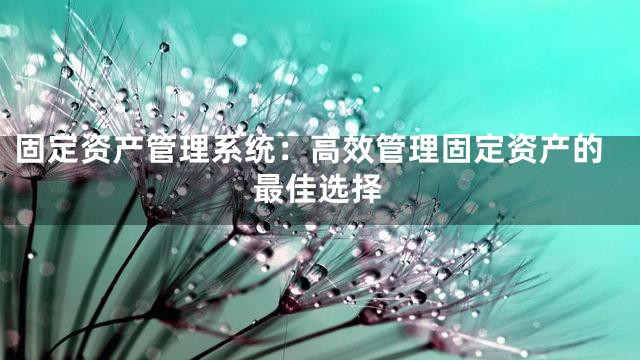 固定资产管理系统：高效管理固定资产的最佳选择