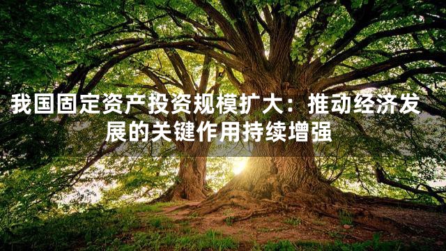 我国固定资产投资规模扩大：推动经济发展的关键作用持续增强