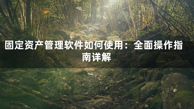 固定资产管理软件如何使用：全面操作指南详解