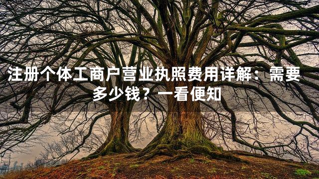 注册个体工商户营业执照费用详解：需要多少钱？一看便知