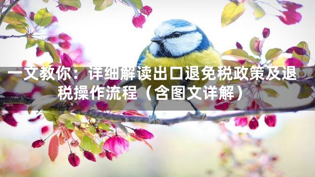 一文教你：详细解读出口退免税政策及退税操作流程（含图文详解）