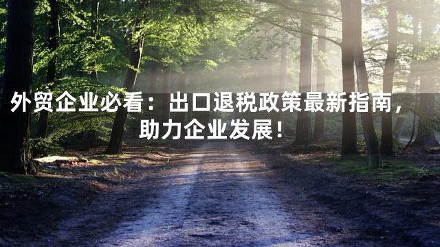 外贸企业必看：出口退税政策最新指南，助力企业发展！