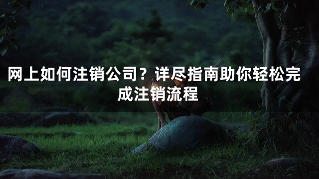 网上如何注销公司？详尽指南助你轻松完成注销流程
