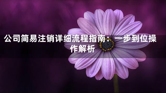 公司简易注销详细流程指南：一步到位操作解析