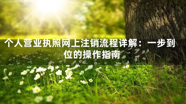 个人营业执照网上注销流程详解：一步到位的操作指南