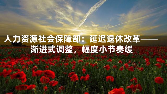 人力资源社会保障部：延迟退休改革——渐进式调整，幅度小节奏缓