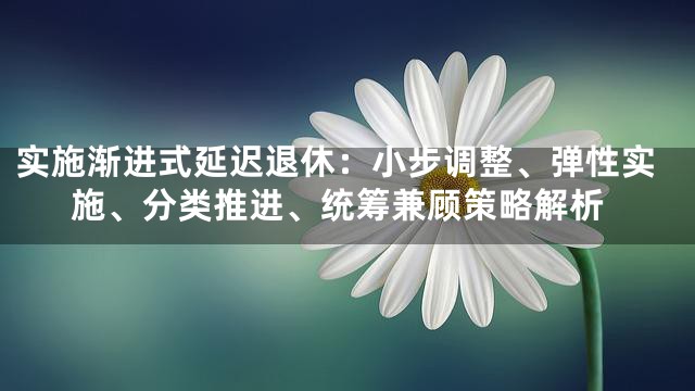 实施渐进式延迟退休：小步调整、弹性实施、分类推进、统筹兼顾策略解析