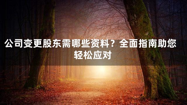 公司变更股东需哪些资料？全面指南助您轻松应对