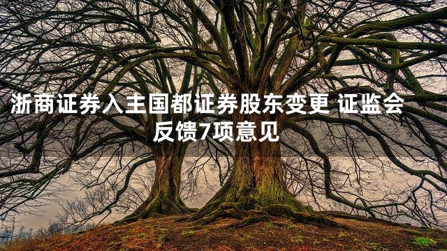 浙商证券入主国都证券股东变更 证监会反馈7项意见