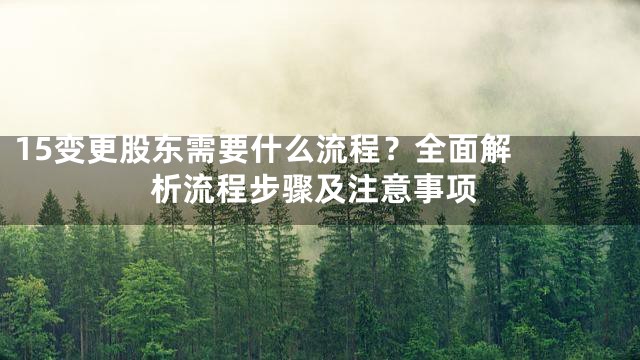 15

变更股东需要什么流程？全面解析流程步骤及注意事项