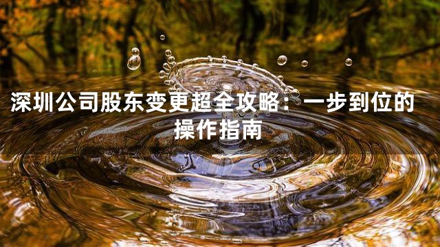 深圳公司股东变更超全攻略：一步到位的操作指南
