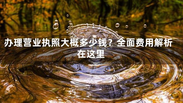 办理营业执照大概多少钱？全面费用解析在这里
