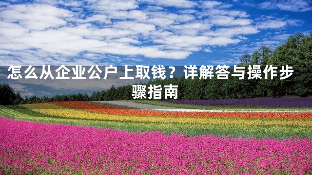 怎么从企业公户上取钱？详解答与操作步骤指南