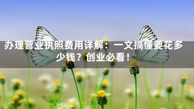 办理营业执照费用详解：一文搞懂要花多少钱？创业必看！