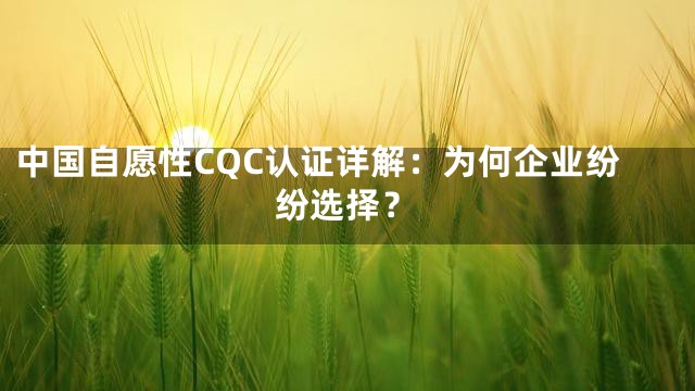 中国自愿性CQC认证详解：为何企业纷纷选择？