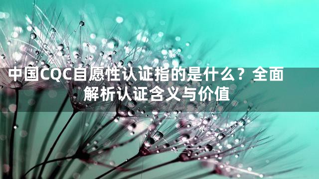 中国CQC自愿性认证指的是什么？全面解析认证含义与价值