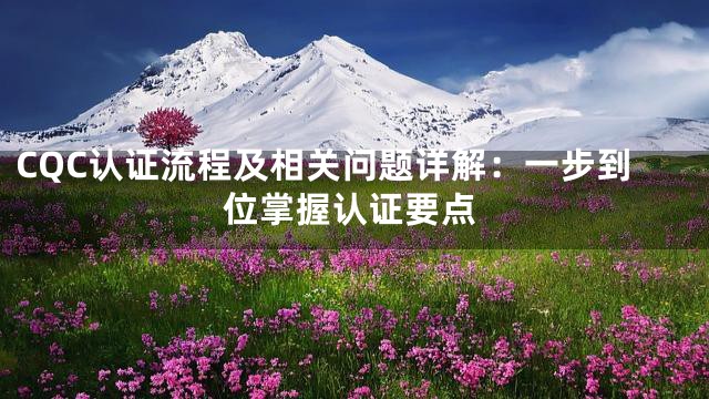 CQC认证流程及相关问题详解：一步到位掌握认证要点