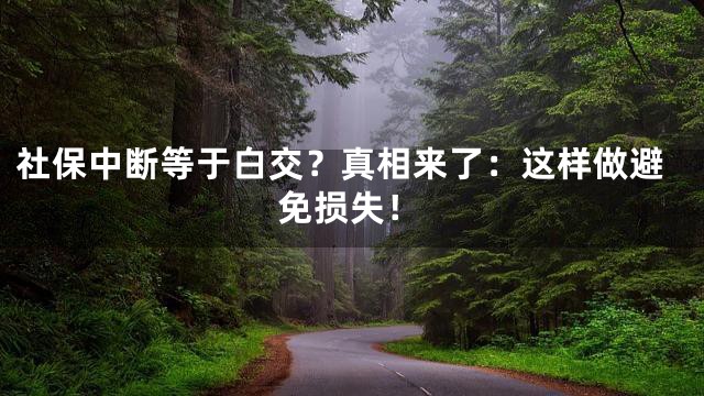 社保中断等于白交？真相来了：这样做避免损失！