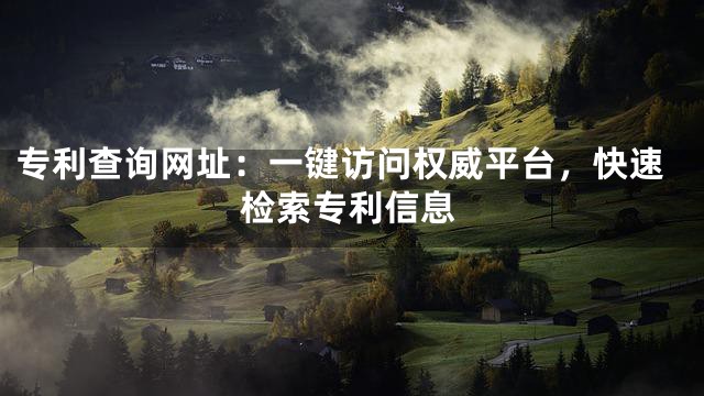 专利查询网址：一键访问权威平台，快速检索专利信息