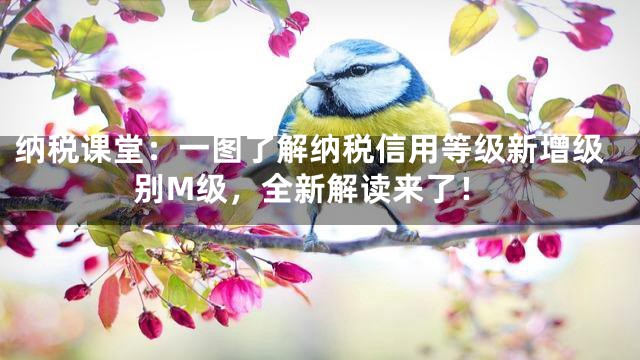 纳税课堂：一图了解纳税信用等级新增级别M级，全新解读来了！