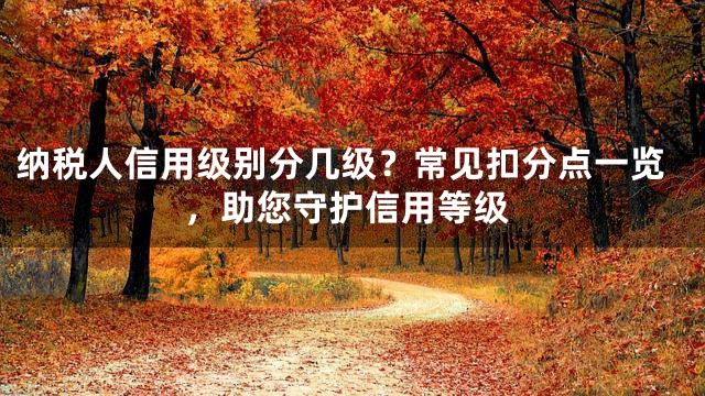 纳税人信用级别分几级？常见扣分点一览，助您守护信用等级