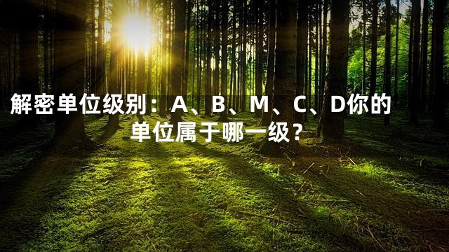解密单位级别：A、B、M、C、D你的单位属于哪一级？
