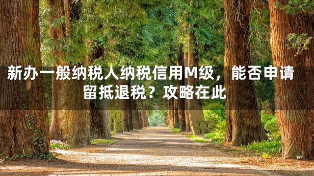 新办一般纳税人纳税信用M级，能否申请留抵退税？攻略在此